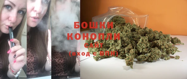 дмт Белокуриха