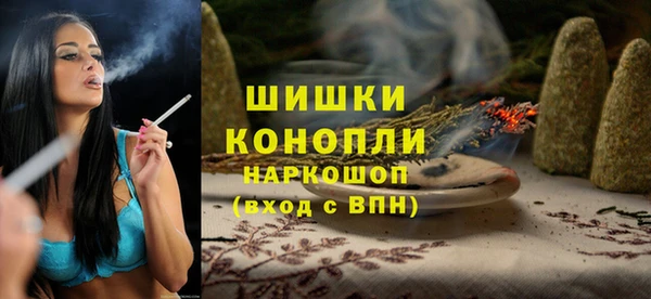 дмт Белокуриха