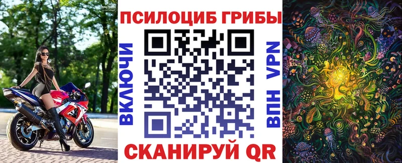 Галлюциногенные грибы Magic Shrooms  Трубчевск 